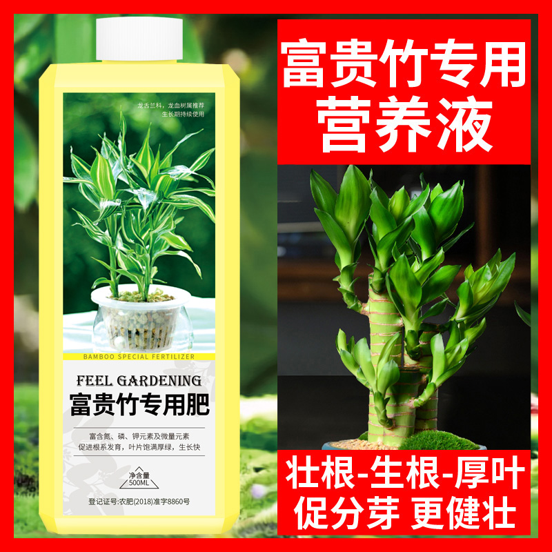 富贵竹营养液专用肥水培肥料绿萝节节高观音竹水培植物营养液通用