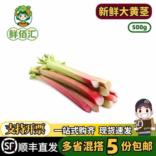 云南新鲜大黄茎西餐低脂甜点沙拉