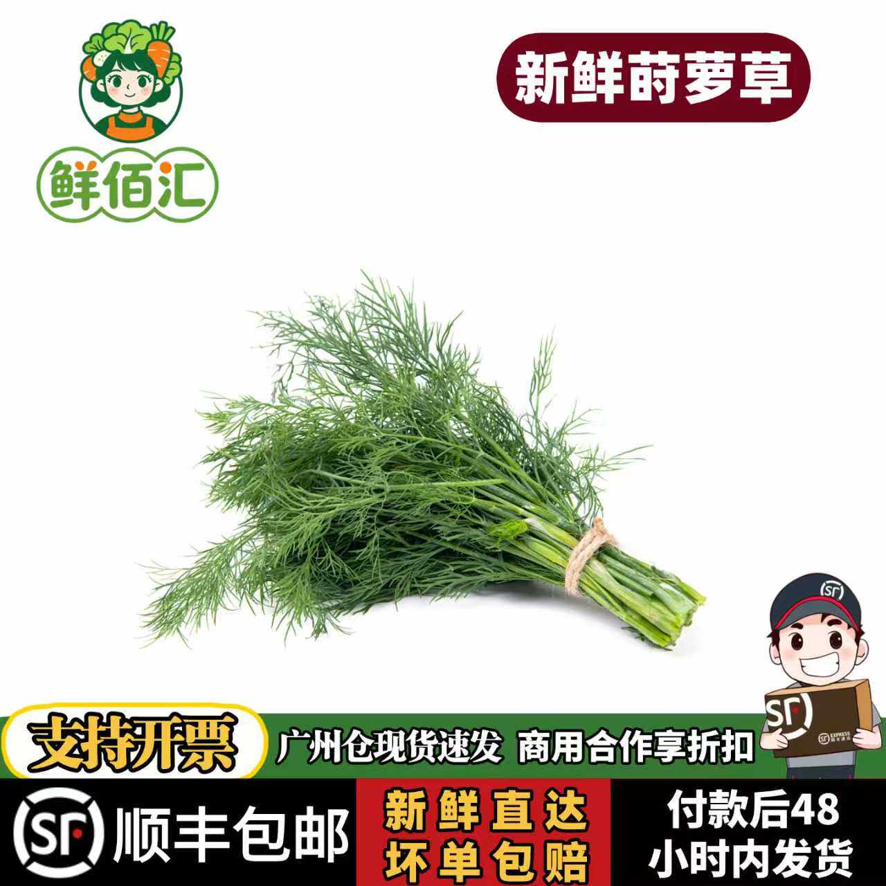 刁草新鲜莳萝草食用泰国西餐香料菜调料调味茴香西餐酒店摆盘包邮