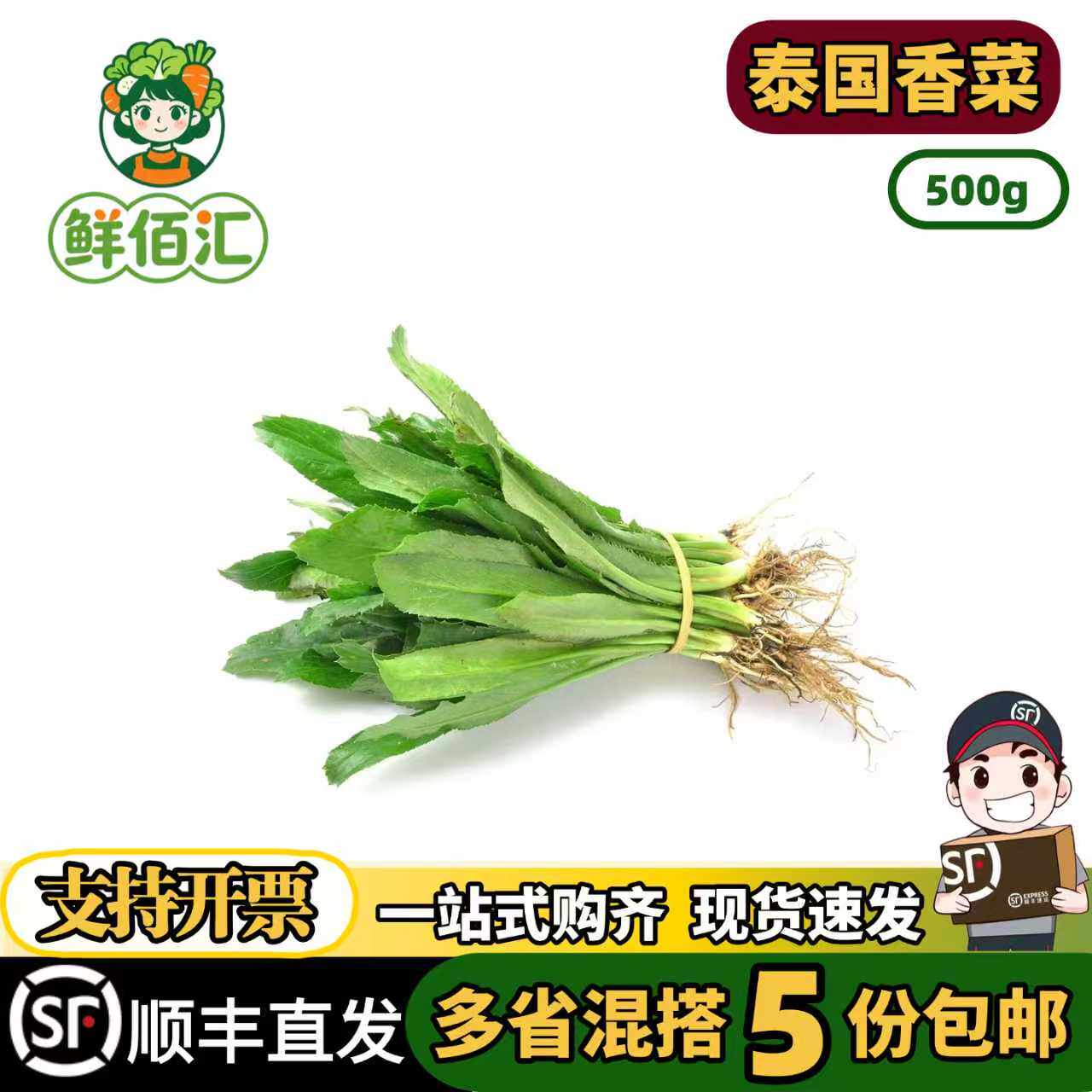 新鲜大香菜泰国大芜荽傣味菜泰国阿瓦香菜越南刺芹 缅甸香菜用料