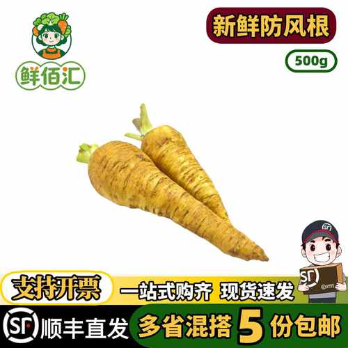 新鲜防风根蒲芹菜萝卜法国西餐摆