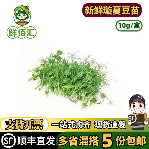 豆苗西餐摆盘装饰PeaShoots豆苗