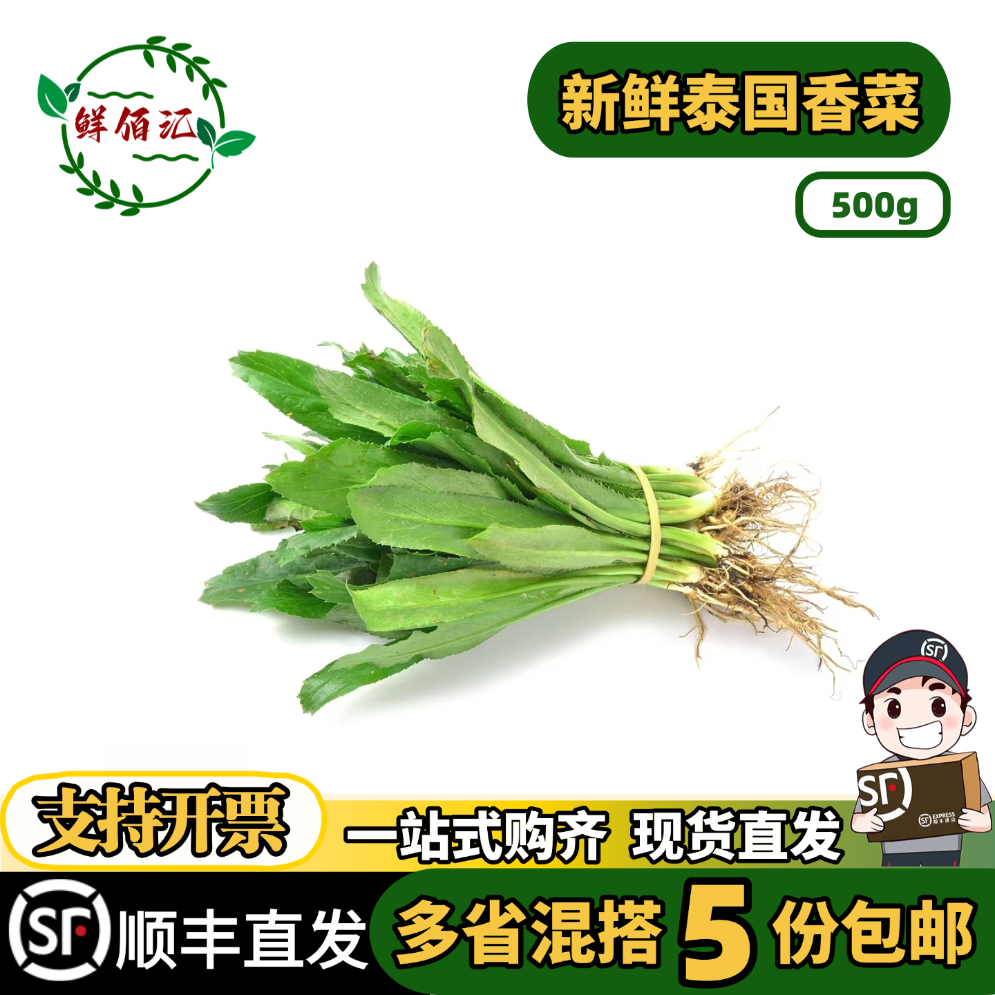 新鲜大香菜泰国大芜荽傣味菜泰国阿瓦香菜越南刺芹 缅甸香菜用料