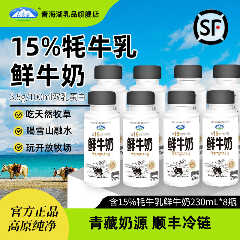 青海湖鲜牛奶230ml*8瓶装营养每日鲜低温巴氏杀菌15%牦牛高原牧场