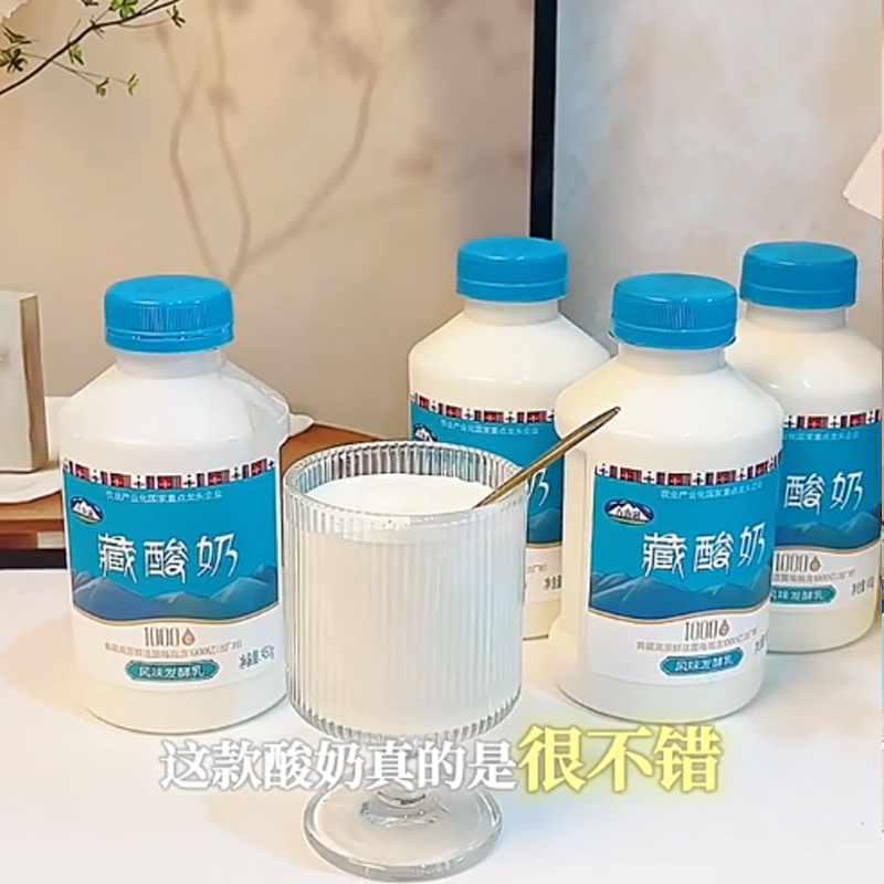 青海湖高原藏酸奶450g*4瓶1000亿鲜活菌低温原味酸奶青海特产牛奶
