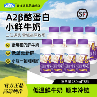 青海湖高原A2酪蛋白鲜牛乳230ml*8瓶低温冷藏每日鲜活儿童鲜奶