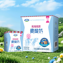 青海湖娟姗牧场高原藏酸奶210g*10盒整箱常温发酵乳早餐原味酸奶
