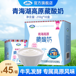 青海湖高原藏酸奶整箱210g 10盒娟姍牧場(chǎng)草原特產(chǎn)常溫牛奶發(fā)酵乳