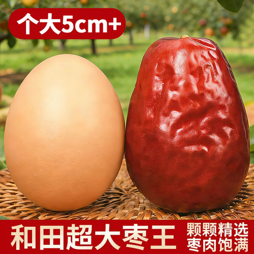 25新枣红枣礼盒装新疆和田大枣枣王特级干果零食新疆特级新疆直发