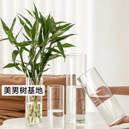 简约透明直筒玻璃花瓶水养美男树马醉木鲜花桌面大号花瓶