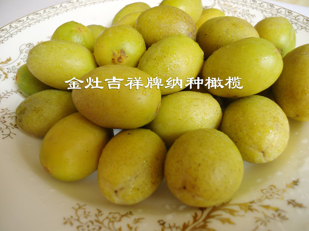 纳种橄榄潮阳金灶果生青果广东特产水果1斤瓶装