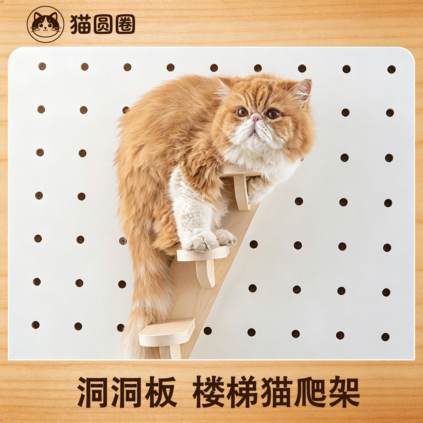 猫圆圈15mm洞洞板免打孔壁挂楼梯图片