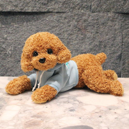 【热销过万】仿真泰迪狗公仔玩偶