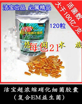 洁宝超浓缩硝化细菌复合EM菌益生菌干粉硝化菌胶囊净水除臭去色