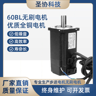 60无刷电机300W 24v48V310v直流无刷马达厂家直销 高转速  低噪音