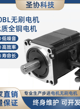 60无刷电机24V/48V310v100W3000转机器人无刷电机现货质量保证