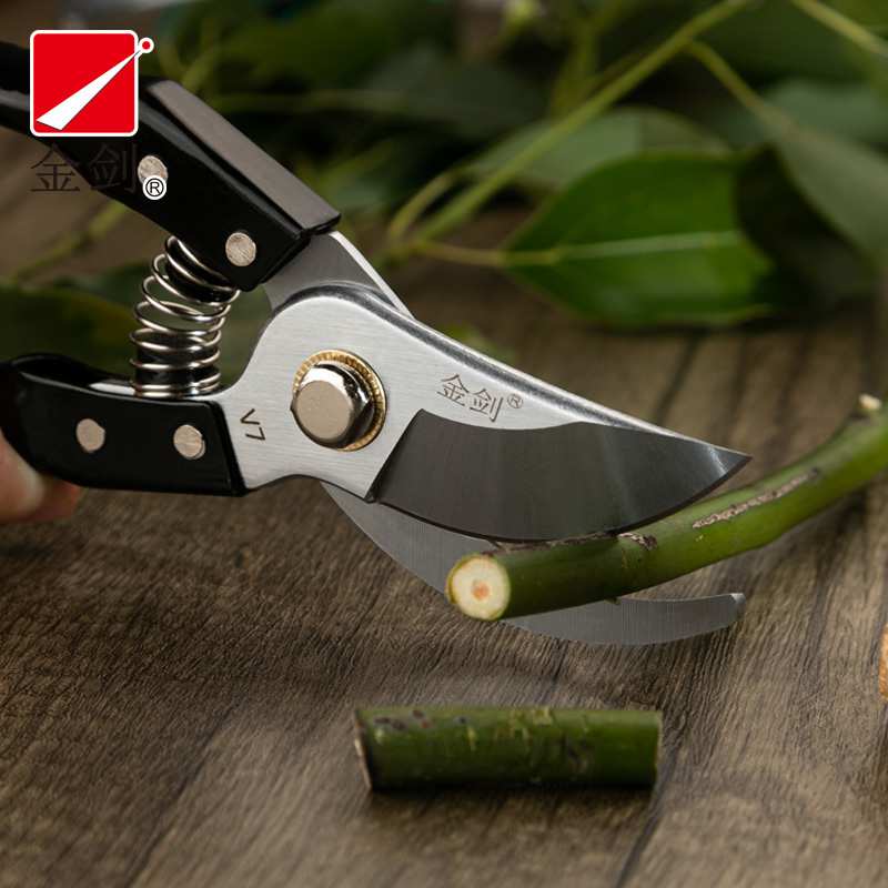 修枝剪刀园林园艺剪刀树枝剪花枝