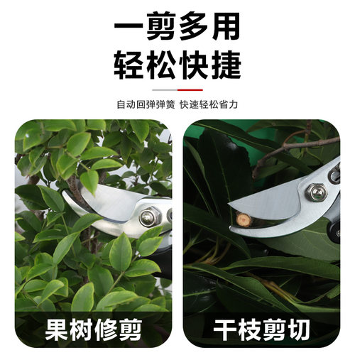 修枝剪刀园林园艺树枝剪花枝