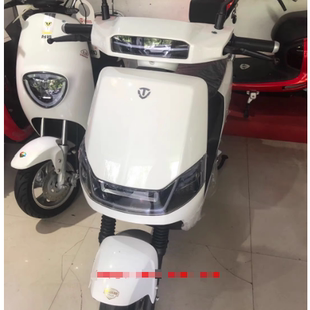 台铃电动车配件狮子新国标电摩摩托车外壳前泥板前围踏板边条灯具