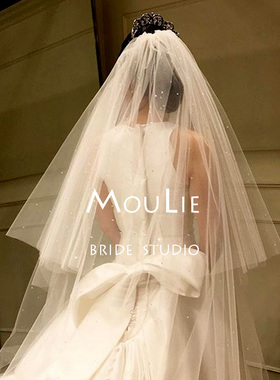 头纱新娘主婚纱高级感奢华重工结婚婚礼白色双层长款拖尾亮闪闪钻