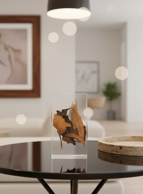 侘寂风亚克力植物标本桌面摆件