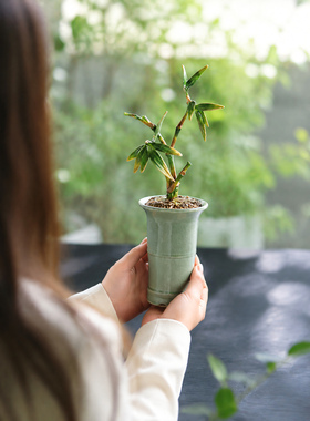 新中式玻璃手工桌面植物花盆摆件