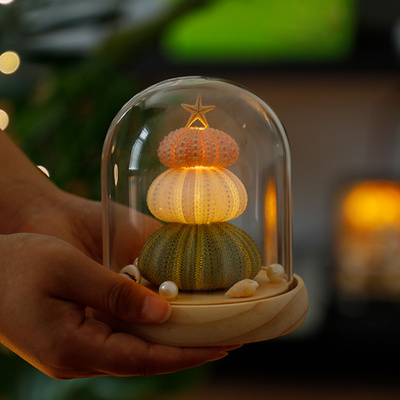 天然海胆装饰灯材料包