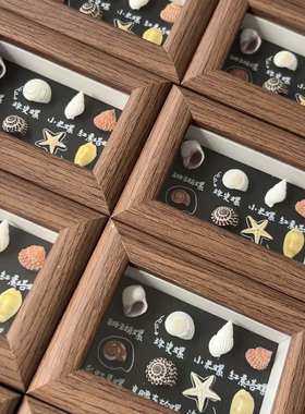 天然贝壳海螺diy制作标本挂画手工艺品摆件相框家居创意装饰制品