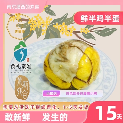 蛋蛋南京特产六合孵化15天活珠子