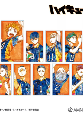 【日谷】 现货 排球少年 集换式Ani-Art 第2弹相卡 周边 日向
