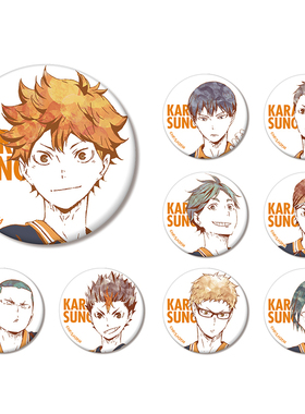 【日谷】ARMABIANCA 排球少年 Ani-Art系列集换式 徽章A款 盒蛋