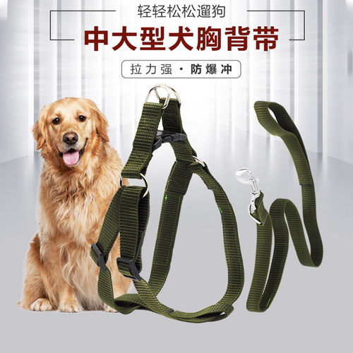 CHUKCHI大狗普通胸背带宠物牵引绳套装中大型犬胸背狗链狗绳金毛
