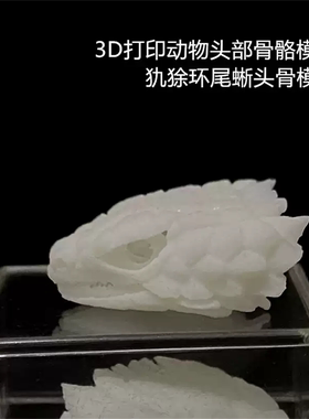 新款3D打印动物骨骼标本高精度模型光敏树脂摆件装饰礼物收藏定制