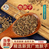 地肤子中药材500g正宗新货广地肤子地葵扫帚子山男经方缘