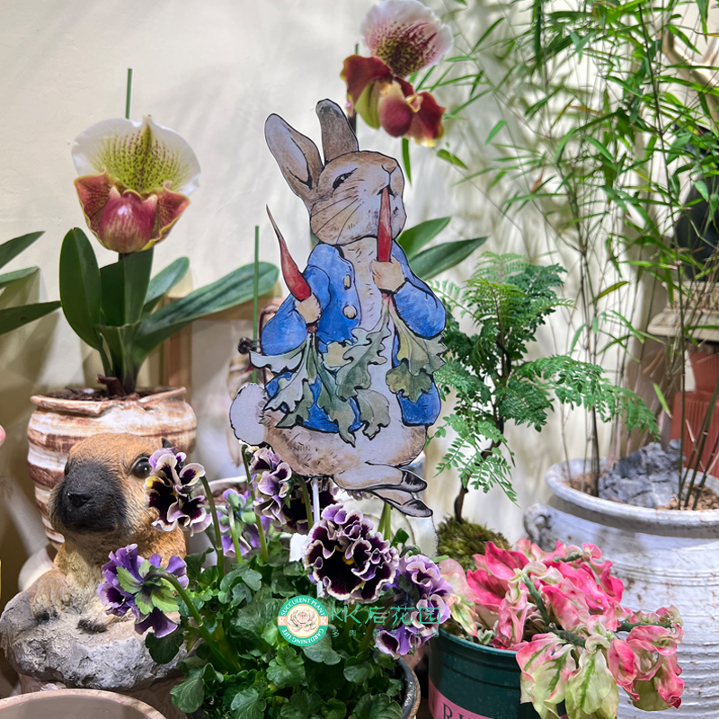 铁艺彼得兔子花插可爱卡通园艺杂货INS独家装饰铁艺摆件创意户外