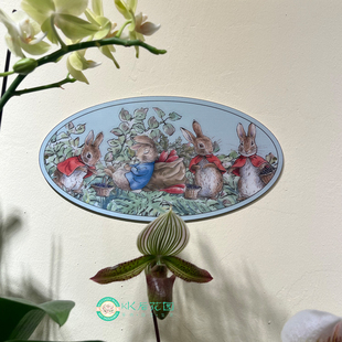 彼得兔挂牌门牌铁艺花园装饰庭院阳台壁挂杂货挂件卡通壁饰户外