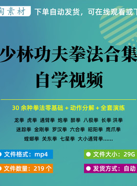 少林拳法全套自学视频少林功夫龙拳虎拳醉拳金刚拳罗汉拳套路实战