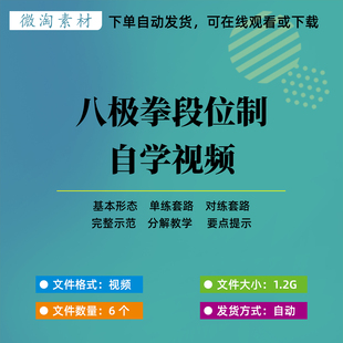 八极拳段位制视频素材传统武术自学健身套路