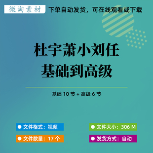 杜宇萧小刘任零基础到高级全套自学视频