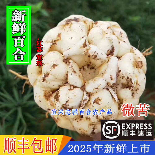 2025年宜兴新鲜现挖大百合