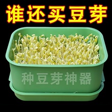 【优倍斯特】水培豆芽育苗盘种植发芽盆