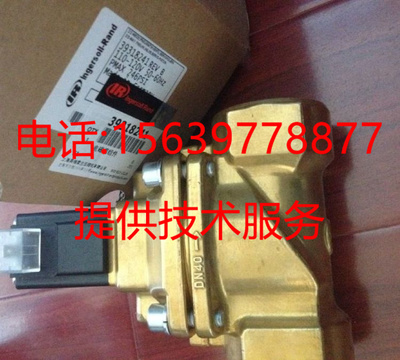 22173629适用于英格索兰空压机39318233=39318241断油电磁阀N1/N4