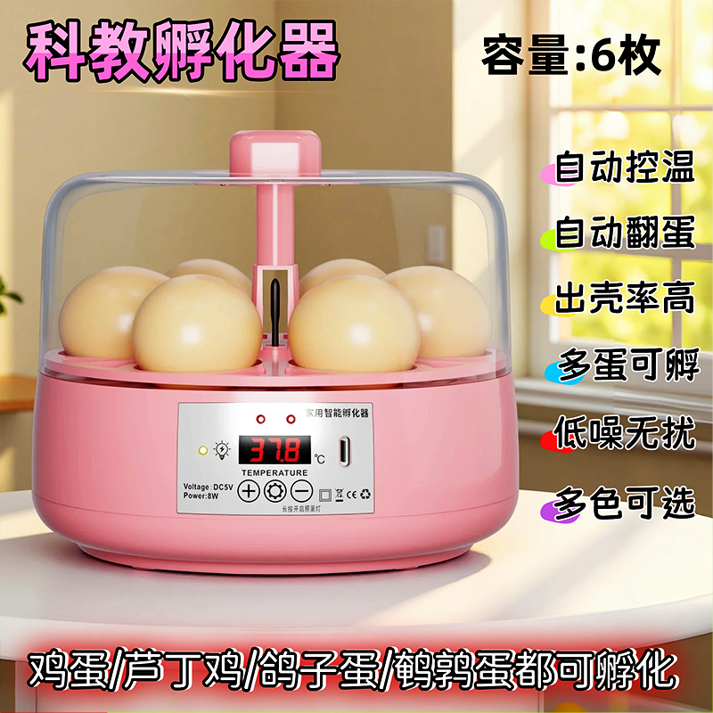 全自动孵化器智能家用孵化箱
