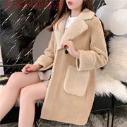 Áo khoác mùa thu và mùa đông 2019 của phụ nữ hạt nhỏ mịn màng trong một đoạn dài áo rơm thủy triều - Faux Fur
