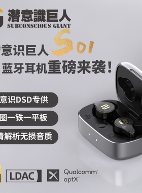 潜意识巨人DSD专供蓝牙耳机