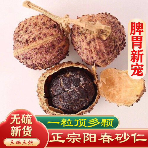 甄选阳春春砂仁日常泡水泡茶好物
