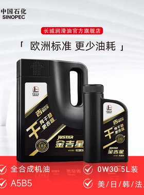 长城机油 0W30 A5B5全合成机油 汽车发动机 保养 机油 5L【干】