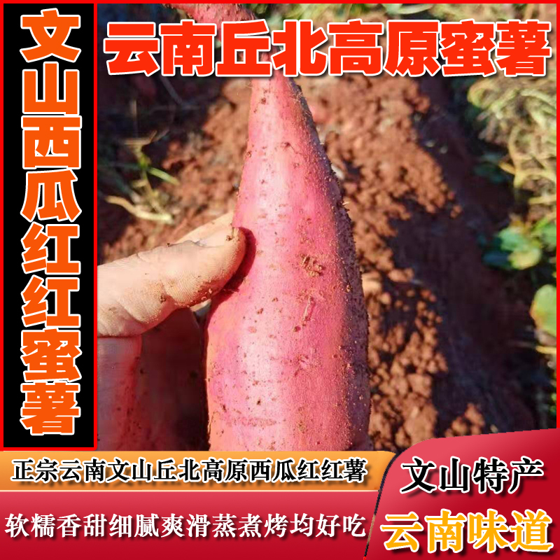 红薯农家新鲜自种云南文山丘北高原蜜薯现挖香甜糯蜜薯9斤