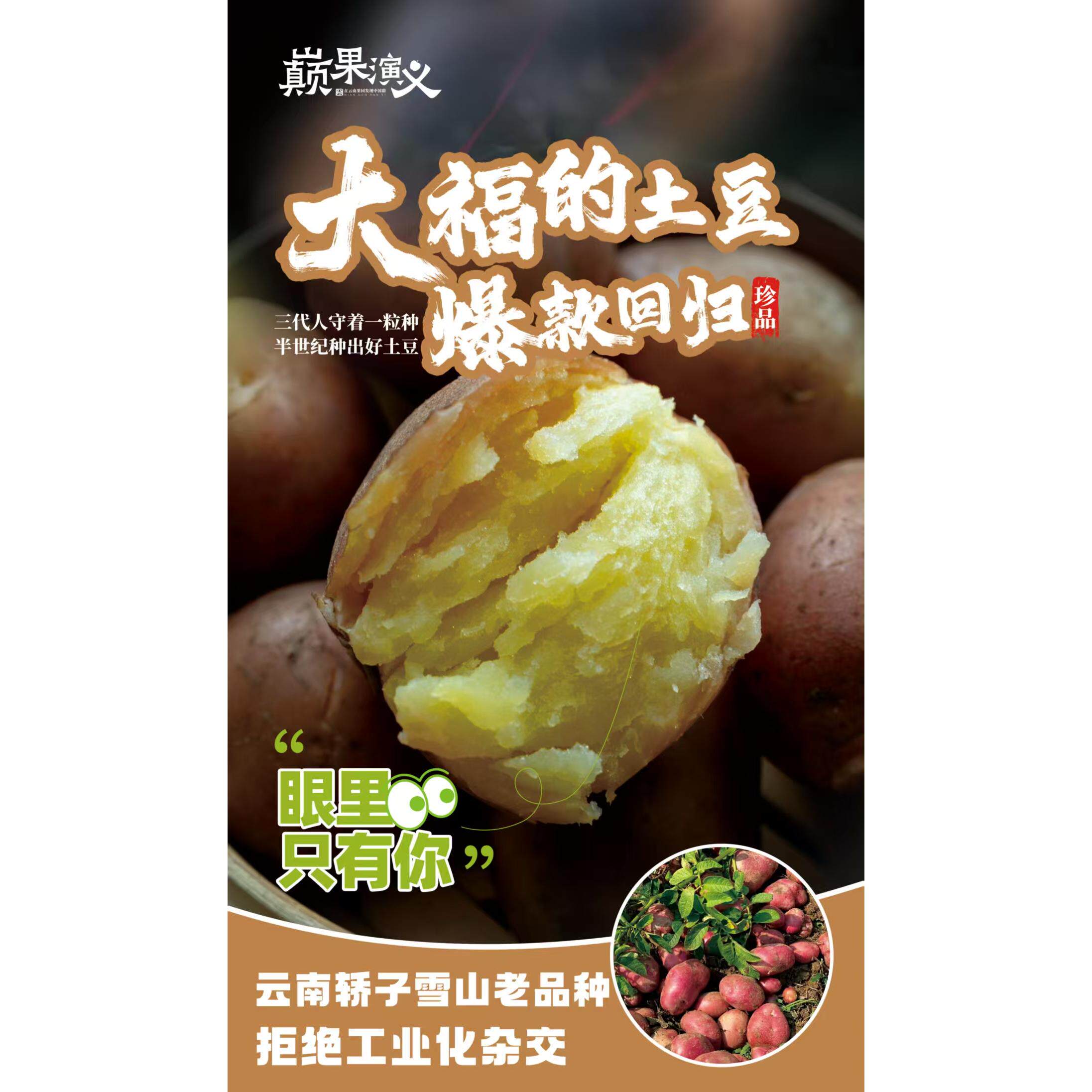 云南昆明高原轿子雪山脚下老品种红皮土豆大福的土豆粉糯黄心土豆