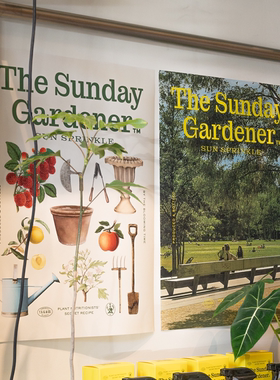 复古假日风景植物浪漫清新艺术海报装饰画韩国ins风博主拍照道具